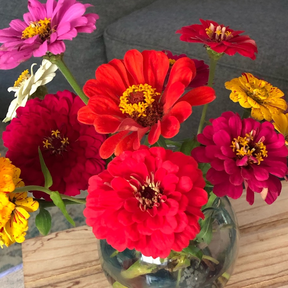 Meet your Posher, Eden